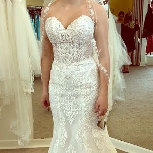 Stella York Wedding Dress